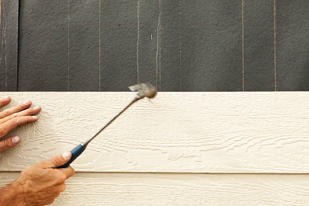 Best Stone Veneer Siding  in Newton, MA
